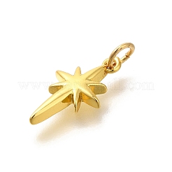Brass Pendants&nbsp;KK-M295-11G