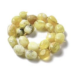 Natural Yellow Opal Beads Strands&nbsp;G-B028-B13