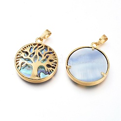 Natural Abalone Shell/Paua Shell Pendants&nbsp;BSHE-I014-03G