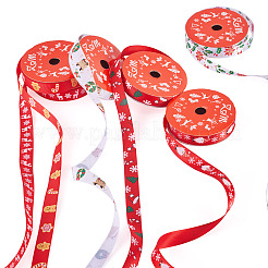 6Rolls 6 Styles Christmas Polyester Printed Ribbon&nbsp;OCOR-TA0003-43