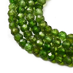 Natural Green Diopside Beads Strands&nbsp;G-NH0046-A01-01