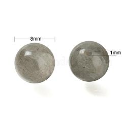 100Pcs 8mm Grade AA Natural  Labradorite Round Beads&nbsp;DIY-LS0002-58