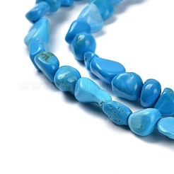 Natural Howlite Beads Strands&nbsp;G-P497-01E-37
