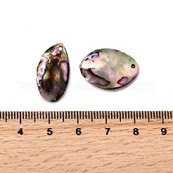 Natural Paua Shell Pendants&nbsp;SSHEL-S280-01A