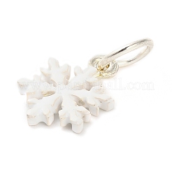 Christmas Themes Alloy Enamel Charms&nbsp;FIND-I063-01K