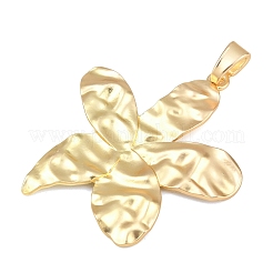 Alloy Big Pendants&nbsp;FIND-I074-02MG-03