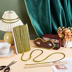 Metallic Polyester Braided Lace Trim&nbsp;OCOR-WH0108-20B