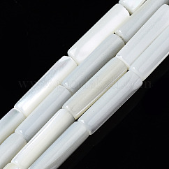 Natural Trochid Shell/Trochus Shell Beads Strands, Column, Bleach, Seashell Color, 13x4mm, Hole: 0.7mm, about 30pcs/strand, 15.94 inch(40.5cm)