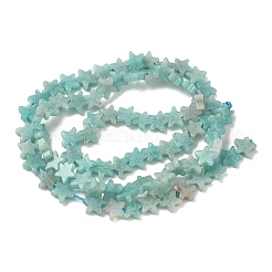 Natural Amazonite Beads Strands&nbsp;G-F817-A10-01