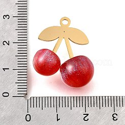 304 Stainless Steel Acrylic Pendants&nbsp;STAS-E549-01G-02