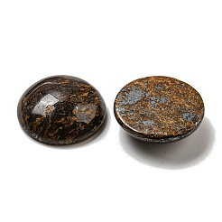 Natural Bronzite Cabochons&nbsp;G-C115-02A-25