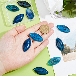 10Pcs Natural Agate Cabochons&nbsp;G-FH0002-65A