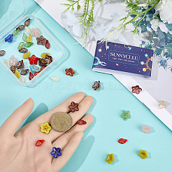 60Pcs 2 Styles Transparent Glass Beads&nbsp;GLAA-SC0002-96
