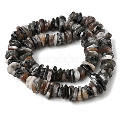 Natural Moonstone Beads Strands&nbsp;GG-CBAC13F-C01-01