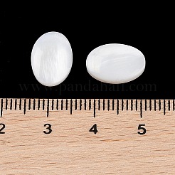 Natural Freshwater Shell Cabochons&nbsp;BSHE-G036-10A