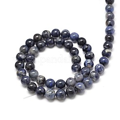 Natural Sodalite Round Beads Strands&nbsp;G-P075-07-8mm