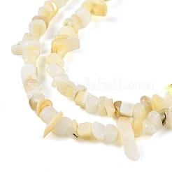 Natural Freshwater Shell Beads Strands&nbsp;BSHE-G036-02