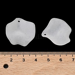 Frosted Acrylic Pendants&nbsp;SACR-F016-02C