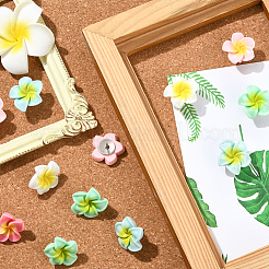30Pcs Plumeria Resin Cabochon Map Pins&nbsp;AJEW-SC0031-18