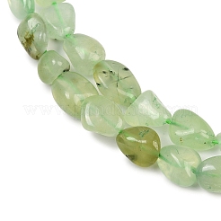 Natural Prehnite Beads Strands&nbsp;G-R445-8x10-25-01