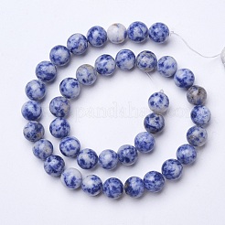 Natural Blue Spot Jasper Beads Strands&nbsp;G-D855-10-10mm