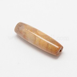 Natural Fossil Coral Beads&nbsp;G-P076-30
