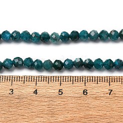 Natural Apatite Beads Strands&nbsp;G-A276-C08-4mm-02