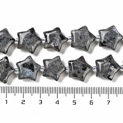 Natural Larvikite Beads Strands&nbsp;G-NH0005-016