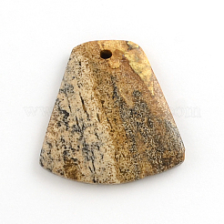 Picture Jasper Gemstone Pendants&nbsp;G-R270-10