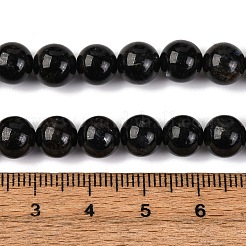 Natural Astrophyllite Beads Strands&nbsp;G-A202-01B