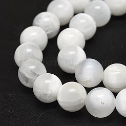 Natural Selenite Beads Strands&nbsp;G-O201A-02B