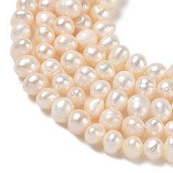 Natural Cultured Freshwater Pearl Beads Strands&nbsp;PA-CBAC463-26