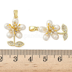 Brass Micro Pave Cubic Zirconia Pendants&nbsp;KK-H076-06G-02