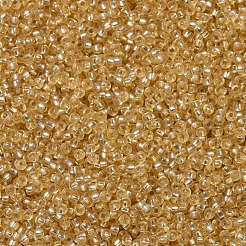 MIYUKI Round Rocailles Beads&nbsp;SEED-G007-RR0003