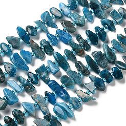 Natural Apatite Beads Strands&nbsp;G-B176-A01-01