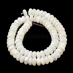Natural Trochus Shell Beads Strands&nbsp;SHEL-P017-06