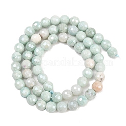Natural Amazonite Beads Strands&nbsp;G-O164-02-6mm