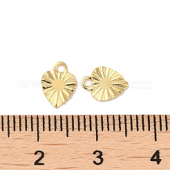 304 Stainless Steel Charms&nbsp;STAS-C080-03G