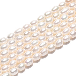 Natural Cultured Freshwater Pearl Beads Strands&nbsp;PEAR-N024-03-4AB
