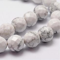 Natural Howlite Beads Strands&nbsp;G-D840-44-8mm