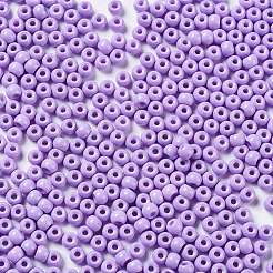 Baking Paint Glass Seed Beads&nbsp;SEED-H002-I-A531