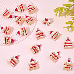 20Pcs Opaque Resin Pendants&nbsp;RESI-SC0036-49
