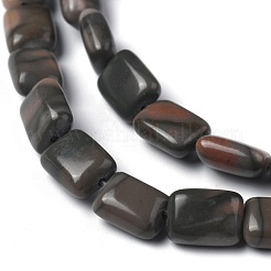 Natural Red Zebra Jasper Beads Strands&nbsp;G-Z006-B06