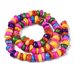 Natural Trochid Shell/Trochus Shell Beads Strands&nbsp;SHEL-S258-081