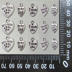 Tibetan Style Alloy Charms&nbsp;TIBE-CJ0001-08