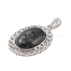 Natural Larvikite Pendants&nbsp;G-A226-03P-06