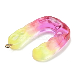 Resin Pendant&nbsp;FIND-Q107-01U-03