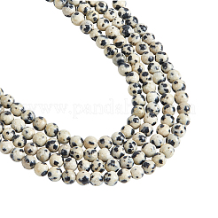 4 Strands Natural Dalmatian Jasper Beads Strands&nbsp;G-NB0004-95