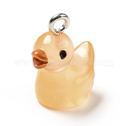 Luminous Translucent Resin Pendants&nbsp;RESI-A017-06