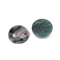 Natural Moss Agate Cabochons&nbsp;G-D367-01A-02